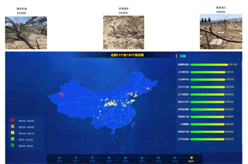 大部分產(chǎn)區(qū)蘋果花期較常年持平或偏晚 甘肅山東等產(chǎn)區(qū)需防范花期凍害風(fēng)險(xiǎn)