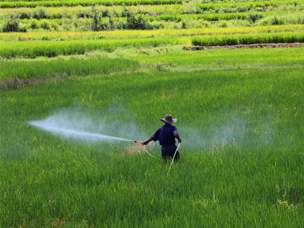 農(nóng)作物種植病蟲害防治技術(shù)大全