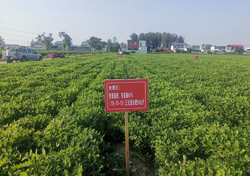 2024年科學(xué)施肥增效兩提兩調(diào)土壤改良集成技術(shù)土壤酸化調(diào)理試驗
