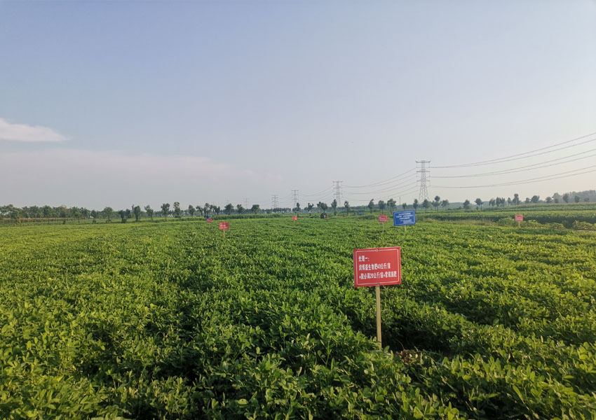 2024年科學(xué)施肥增效兩提兩調(diào)土壤改良集成技術(shù)土壤酸化調(diào)理試驗